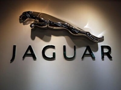jaguar1.jpg