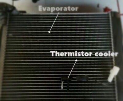 thermistor1.jpg