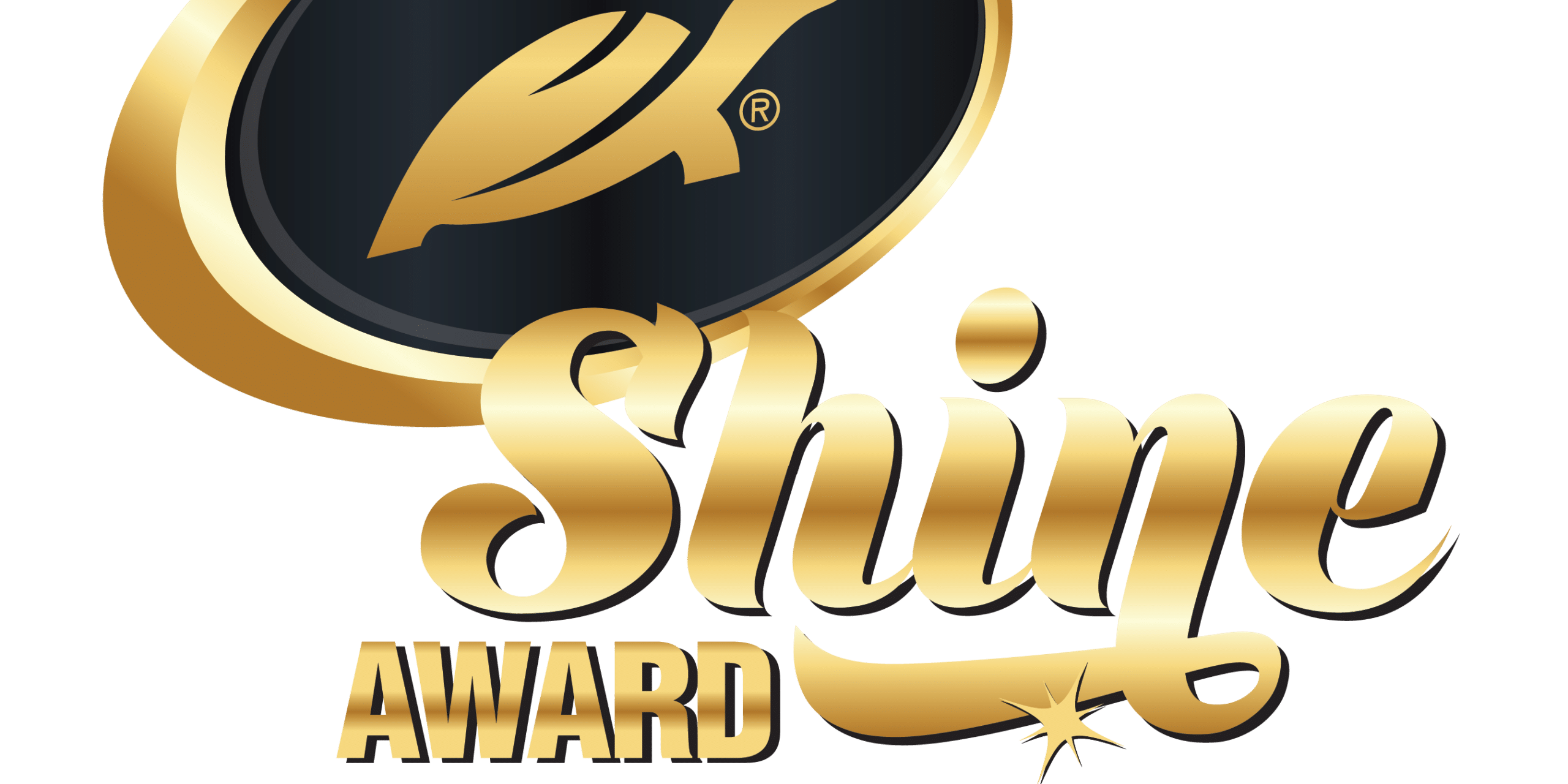 Trophy_Shine-Award_FA-2023-02.png